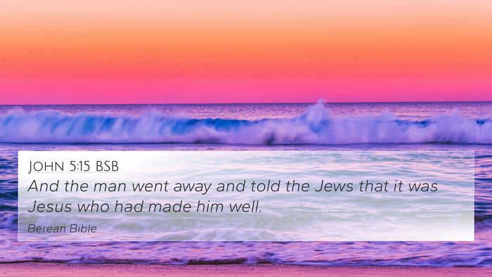 John 5:15 BSB 4K Wallpaper - And the man went away and told the Jews that it - 4K Wallpaper Bible Verse