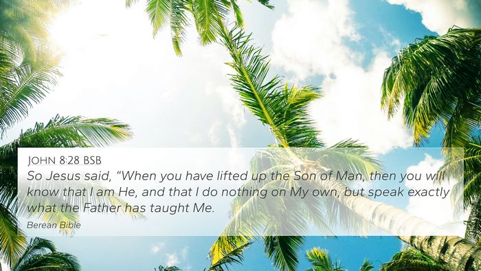 John 8:28 BSB Bible Verse Image