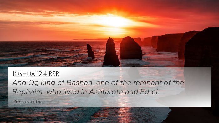 Joshua 12:4 BSB Bible Verse Image