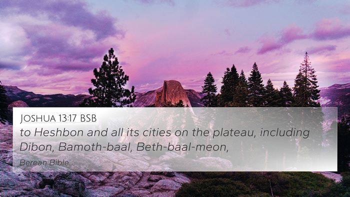 Joshua 13:17 BSB Bible Verse Image