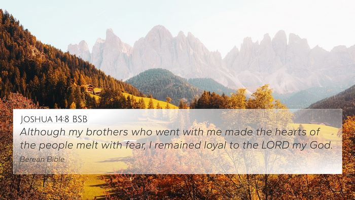 Joshua 14:8 BSB Bible Verse Image