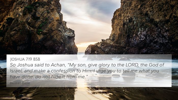 Joshua 7:19 BSB Bible Verse Image