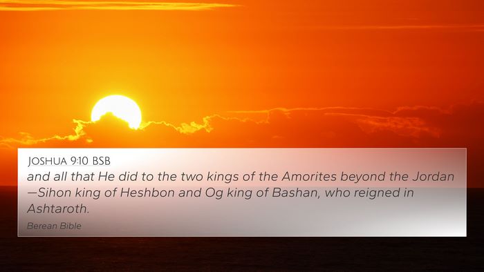 Joshua 9:10 BSB Bible Verse Image