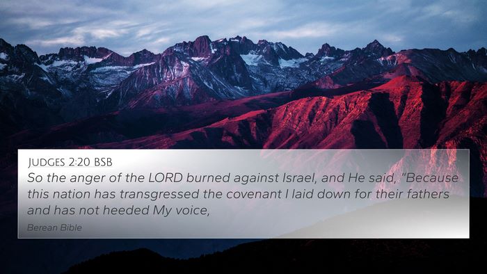 Judges 2:20 BSB Bible Verse Image