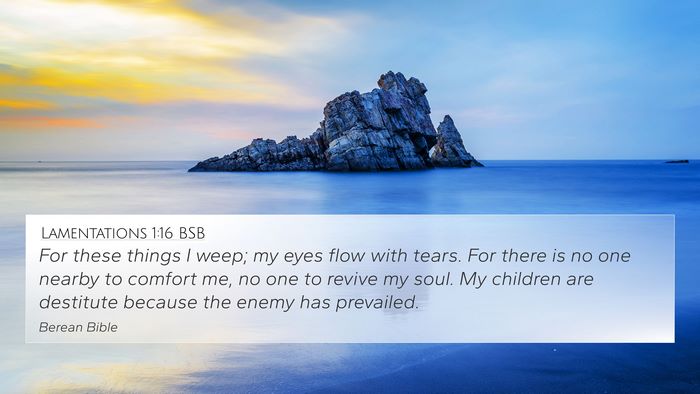 Lamentations 1:16 BSB Bible Verse Image