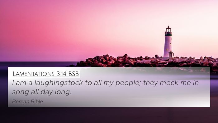 Lamentations 3:14 BSB Bible Verse Image