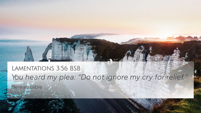 Lamentations 3:56 BSB 4K Wallpaper - You heard my plea: “Do not ignore my cry for - 4K Wallpaper Bible Verse