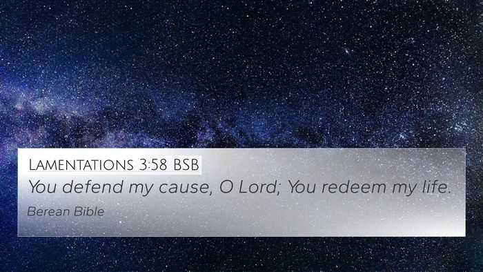 Lamentations 3:58 BSB Bible Verse Image
