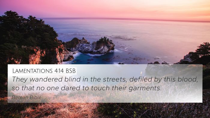 Lamentations 4:14 BSB Bible Verse Image
