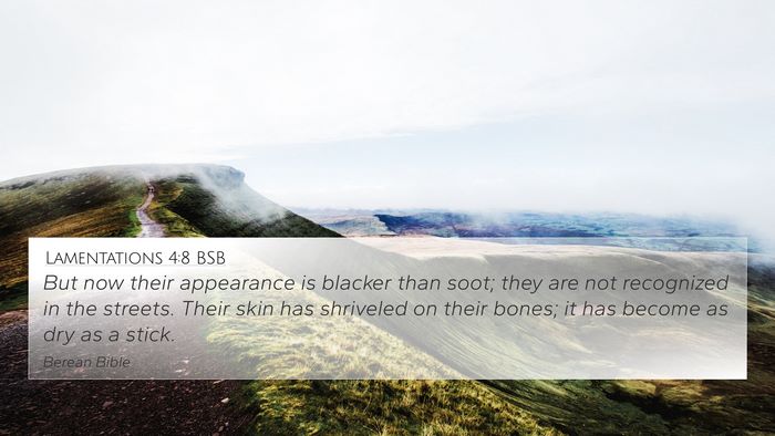 Lamentations 4:8 BSB Bible Verse Image