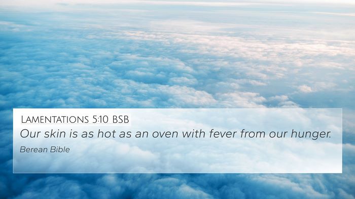 Lamentations 5:10 BSB Bible Verse Image