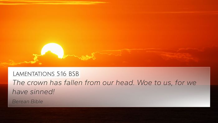 Lamentations 5:16 BSB Bible Verse Image