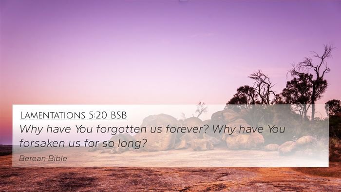 Lamentations 5:20 BSB Bible Verse Image