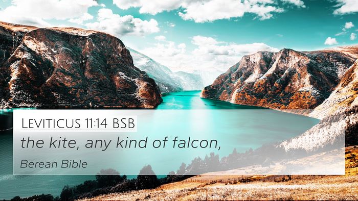 Leviticus 11:14 BSB 4K Wallpaper - the kite, any kind of - 4K Wallpaper Bible Verse