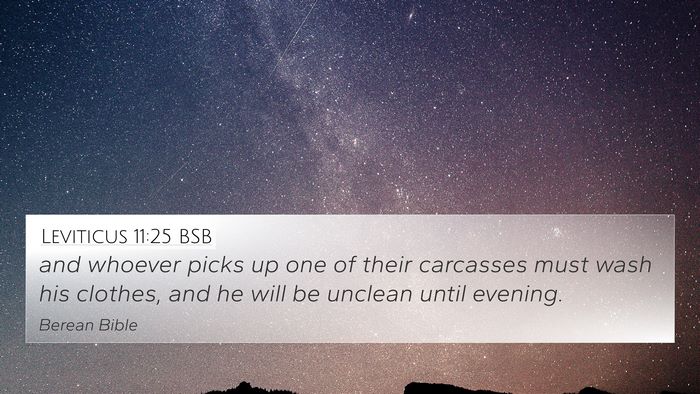 Leviticus 11:25 BSB Bible Verse Image