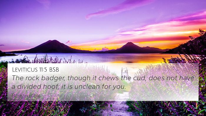 Leviticus 11:5 BSB 4K Wallpaper - The rock badger, though it chews the cud, does - 4K Wallpaper Bible Verse