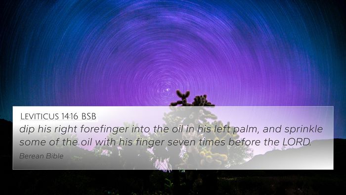 Leviticus 14:16 BSB 4K Wallpaper - dip his right forefinger into the oil in his left - 4K Wallpaper Bible Verse