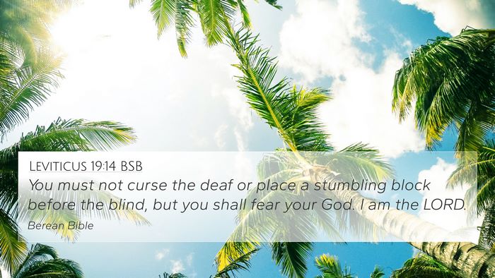 Leviticus 19:14 BSB Bible Verse Image