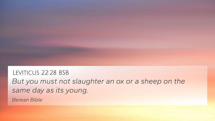 Leviticus 22:28 BSB Bible Verse Image