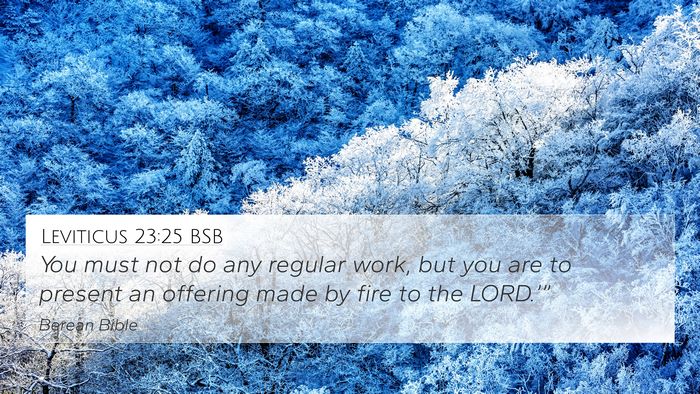 Leviticus 23:25 BSB Bible Verse Image