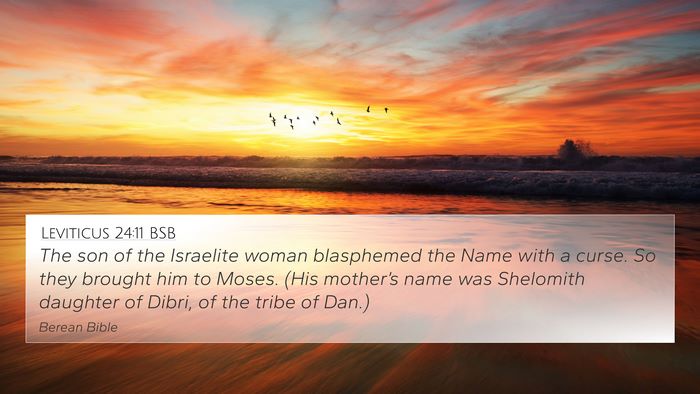 Leviticus 24:11 BSB Bible Verse Image