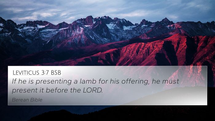 Leviticus 3:7 BSB 4K Wallpaper - If he is presenting a lamb for his offering, he - 4K Wallpaper Bible Verse
