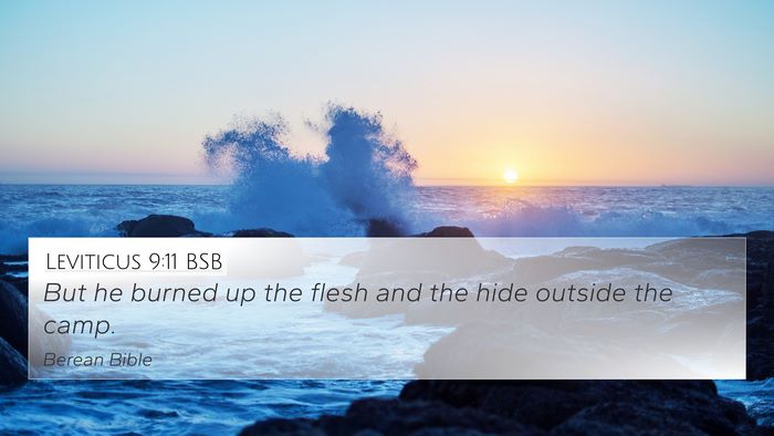 Leviticus 9:11 BSB 4K Wallpaper - But he burned up the flesh and the hide outside - 4K Wallpaper Bible Verse