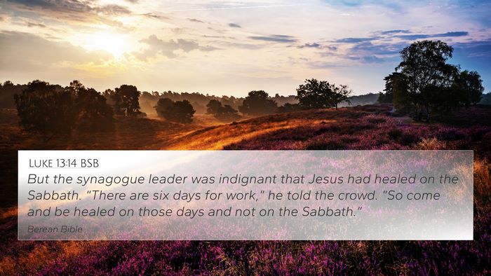 Luke 13:14 BSB Bible Verse Image