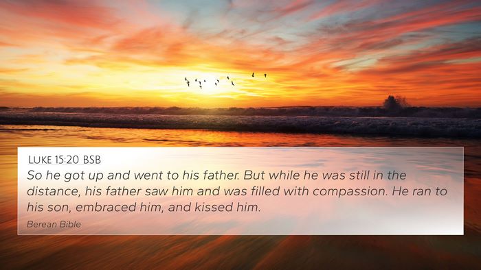 Luke 15:20 BSB Bible Verse Image