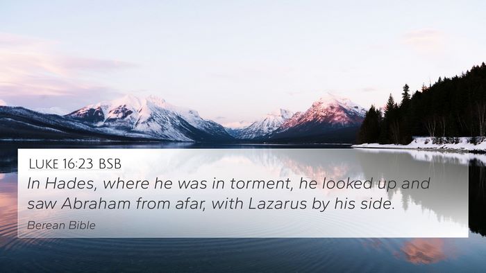 Luke 16:23 BSB Bible Verse Image