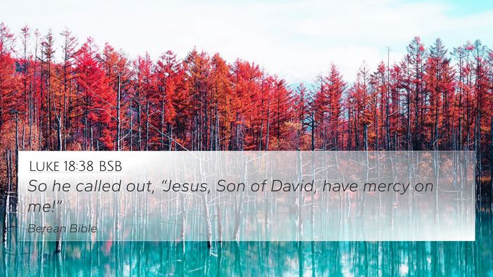 Luke 18:38 BSB Bible Verse Image