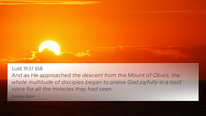 Luke 19:37 BSB Bible Verse Image