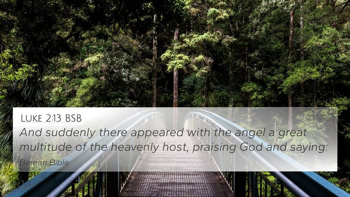 Luke 2:13 BSB Bible Verse Image
