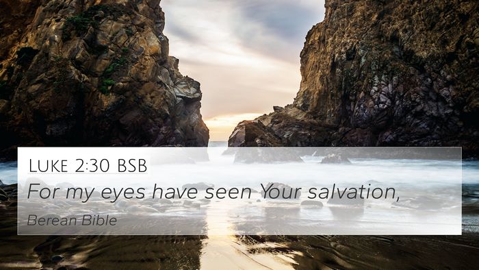 Luke 2:30 BSB Bible Verse Image