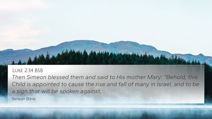 Luke 2:34 BSB Bible Verse Image