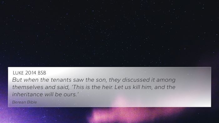 Luke 20:14 BSB Bible Verse Image