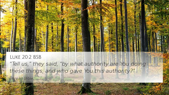 Luke 20:2 BSB Bible Verse Image