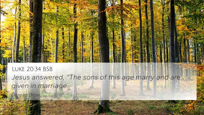 Luke 20:34 BSB 4K Wallpaper - Jesus answered, “The sons of this age marry and - 4K Wallpaper Bible Verse