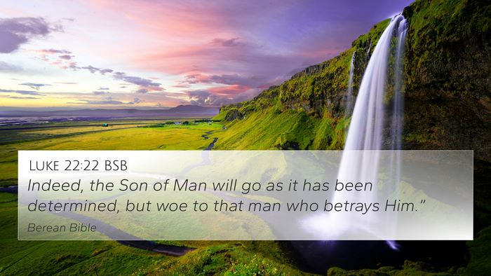Luke 22:22 BSB Bible Verse Image
