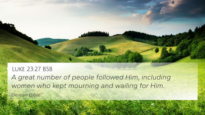 Luke 23:27 BSB 4K Wallpaper - A great number of people followed Him, including - 4K Wallpaper Bible Verse