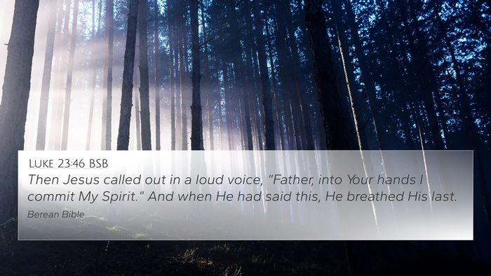 Luke 23:46 BSB Bible Verse Image