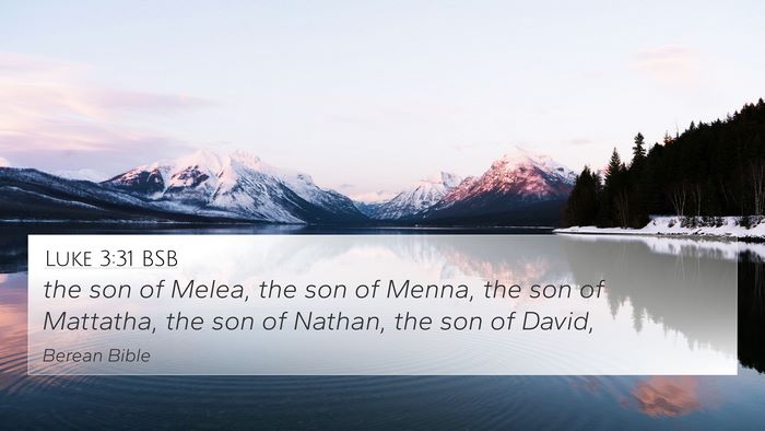 Luke 3:31 BSB Bible Verse Image