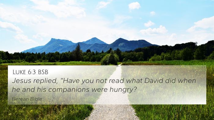 Luke 6:3 BSB Bible Verse Image