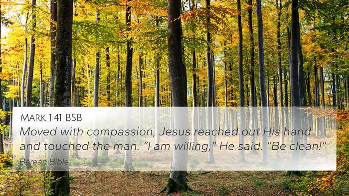 Mark 1:41 BSB 4K Wallpaper - Moved with compassion, Jesus reached out His hand - 4K Wallpaper Bible Verse