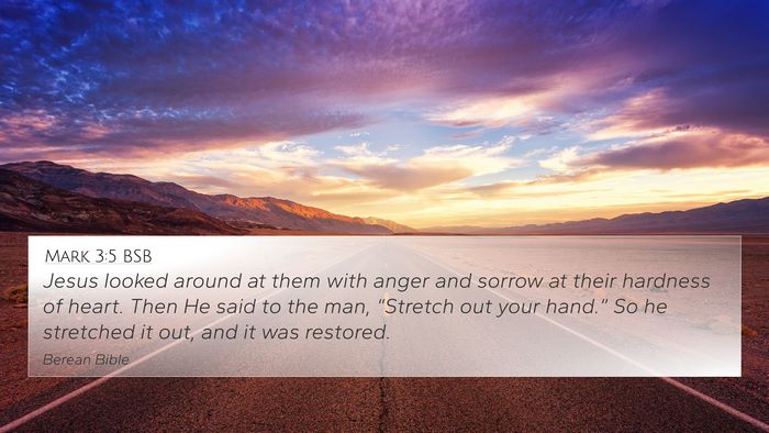 Mark 3:5 BSB Bible Verse Image