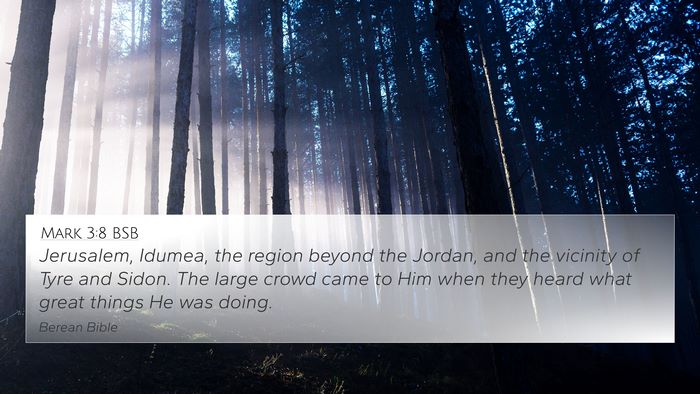 Mark 3:8 BSB Bible Verse Image