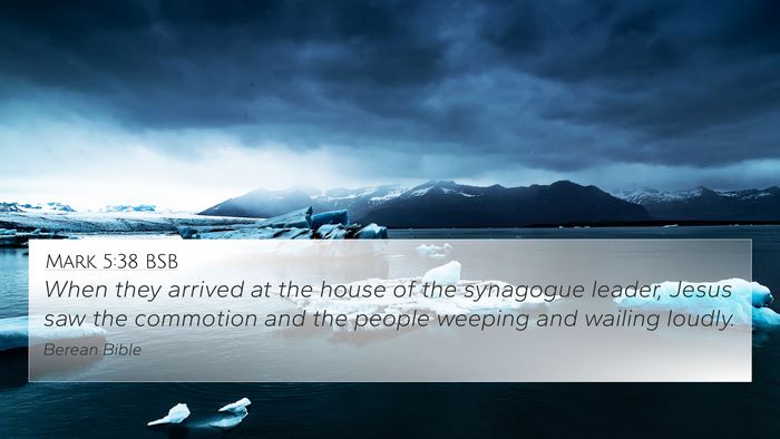 Mark 5:38 BSB Bible Verse Image