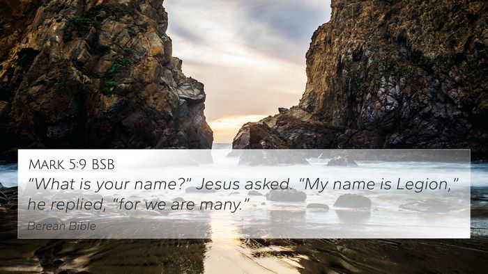 Mark 5:9 BSB Bible Verse Image