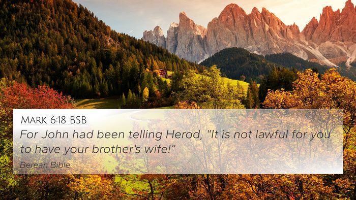 Mark 6:18 BSB Bible Verse Image