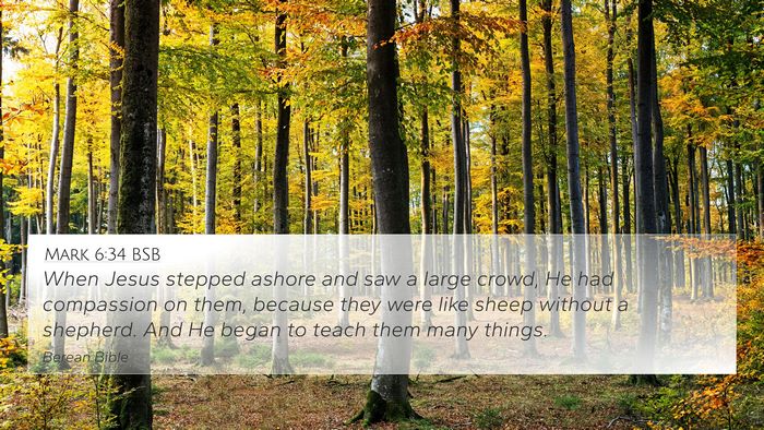 Mark 6:34 BSB Bible Verse Image